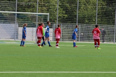 VfL Sindelfingen (C) - SGM Nufringen/Gärtringen/Rohrau (11.05.2019)