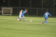 VfL Sindelfingen (F) - FFV Heidenheim (20.10.2022)