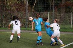 VfL Sindelfingen (F) - FV 09 Nürtingen (23.10.2022)