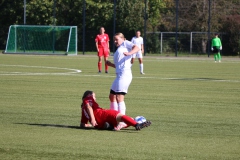 VfL Sindelfingen Ladies (F) - FV Löchgau (01.10.2023)