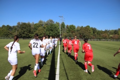 VfL Sindelfingen Ladies (F) - FV Löchgau (01.10.2023)