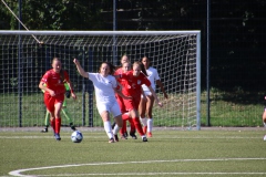 VfL Sindelfingen Ladies (F) - FV Löchgau (01.10.2023)