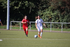 VfL Sindelfingen Ladies (F) - FV Löchgau (01.10.2023)