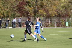 VfL Sindelfingen Ladies (F) - TSV Frommern (22.10.2023)