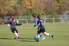 VfL Sindelfingen Ladies (F) - TSV Frommern (22.10.2023)