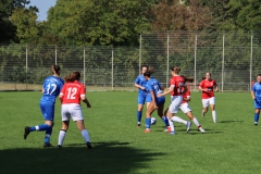 VfL Sindelfingen (F) - TV Derendingen (10.09.2023)