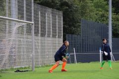 VfL Sindelfingen (F) - VfB Stuttgart (27.08.2023)