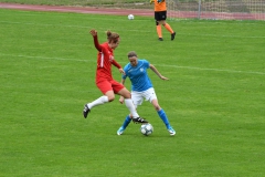 VfL Sindelfingen Ladies (F1) - FC Forstern (02.09.2018)