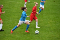 VfL Sindelfingen Ladies (F1) - FC Forstern (02.09.2018)