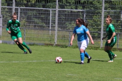 VfL Sindelfingen (F1) - FC Freiburg - St. Georgen 1921 e.V. (29.05.2022)