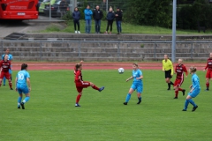 VfL Sindelfingen (F1) - FC Ingolstadt 04 (05.05.2019)