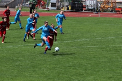 VfL Sindelfingen (F1) - FC Ingolstadt 04 (05.05.2019)