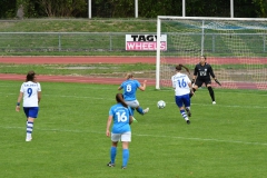 VfL Sindelfingen (F1) - TSV Jahn Calden (23.09.2018)