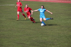 VfL Sindelfingen (F1) - SC Freiburg II (24.03.2019)