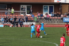 VfL Sindelfingen (F1) - SC Freiburg II (24.03.2019)