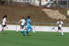 VfL Sindelfingen (F1) - SC Sand II (10.03.2019)