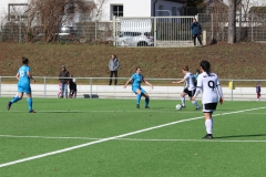 VfL Sindelfingen (F1) - SC Sand II (10.03.2019)