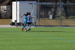 VfL Sindelfingen (F1) - SC Sand II (10.03.2019)