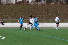 VfL Sindelfingen (F1) - SC Sand II (10.03.2019)