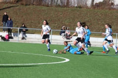 VfL Sindelfingen (F1) - SC Sand II (10.03.2019)