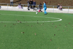 VfL Sindelfingen (F1) - SC Sand II (10.03.2019)