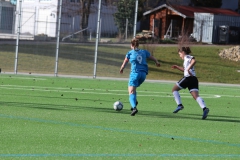 VfL Sindelfingen (F1) - SC Sand II (10.03.2019)