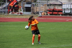Galerie VfL Sindelfingen (F1) - SV Alberweiler (12.08.2018)
