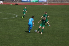 VfL Sindelfingen (F1) - SV Alberweiler (31.03.2019)