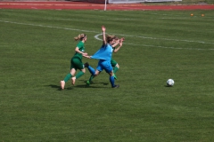 VfL Sindelfingen (F1) - SV Alberweiler (31.03.2019)