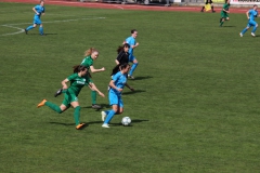 VfL Sindelfingen (F1) - SV Alberweiler (31.03.2019)