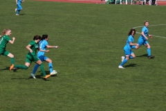 VfL Sindelfingen (F1) - SV Alberweiler (31.03.2019)