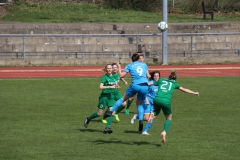 VfL Sindelfingen (F1) - SV Alberweiler (31.03.2019)