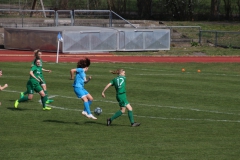 VfL Sindelfingen (F1) - SV Alberweiler (31.03.2019)