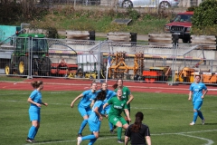 VfL Sindelfingen (F1) - SV Alberweiler (31.03.2019)