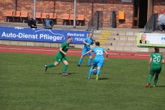 VfL Sindelfingen (F1) - SV Alberweiler (31.03.2019)