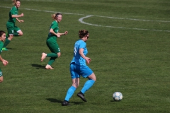 VfL Sindelfingen (F1) - SV Alberweiler (31.03.2019)