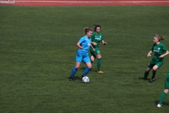 VfL Sindelfingen (F1) - SV Alberweiler (31.03.2019)