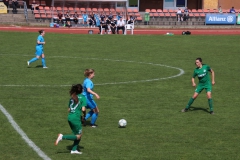 VfL Sindelfingen (F1) - SV Alberweiler (31.03.2019)