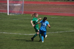 VfL Sindelfingen (F1) - SV Alberweiler (31.03.2019)