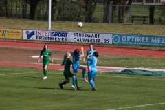 VfL Sindelfingen (F1) - SV Alberweiler (31.03.2019)