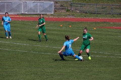 VfL Sindelfingen (F1) - SV Alberweiler (31.03.2019)