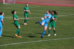 VfL Sindelfingen (F1) - SV Alberweiler (31.03.2019)