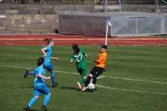 VfL Sindelfingen (F1) - SV Alberweiler (31.03.2019)