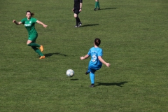 VfL Sindelfingen (F1) - SV Alberweiler (31.03.2019)