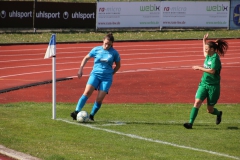 VfL Sindelfingen (F1) - SV Alberweiler (31.03.2019)