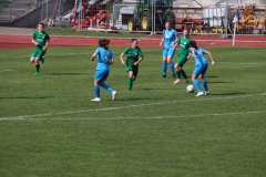 VfL Sindelfingen (F1) - SV Alberweiler (31.03.2019)