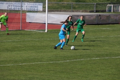 VfL Sindelfingen (F1) - SV Alberweiler (31.03.2019)