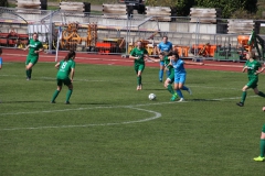 VfL Sindelfingen (F1) - SV Alberweiler (31.03.2019)