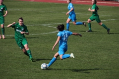 VfL Sindelfingen (F1) - SV Alberweiler (31.03.2019)