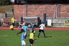 VfL Sindelfingen (F1) - SV Frauenbiburg (14.10.2018)